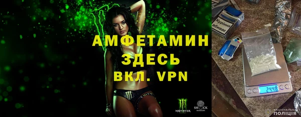 стаф Аркадак
