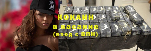 стаф Аркадак