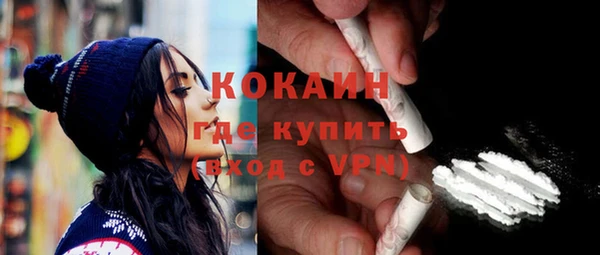 стаф Аркадак