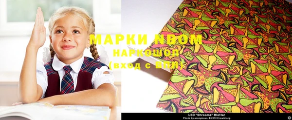 стаф Аркадак