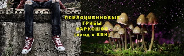 2c-b Пересвет