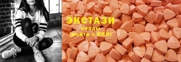 стаф Аркадак