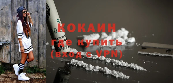 стаф Аркадак