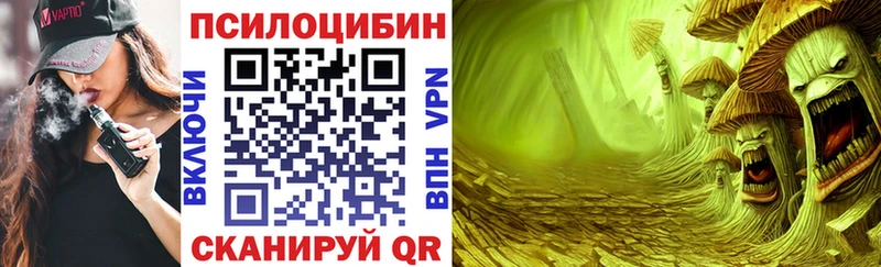 как найти закладки  Нефтегорск  Галлюциногенные грибы Psilocybe 